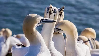 富国低碳环保混合净值下跌3.26%