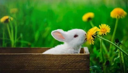 唐艺昕回应4年未拍戏!称自己生完小孩后身体突然出现了问题