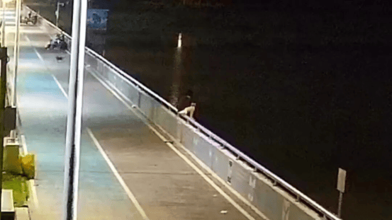 东莞一女子凌晨沉入漆黑水库，民警第二跳让人揪心……