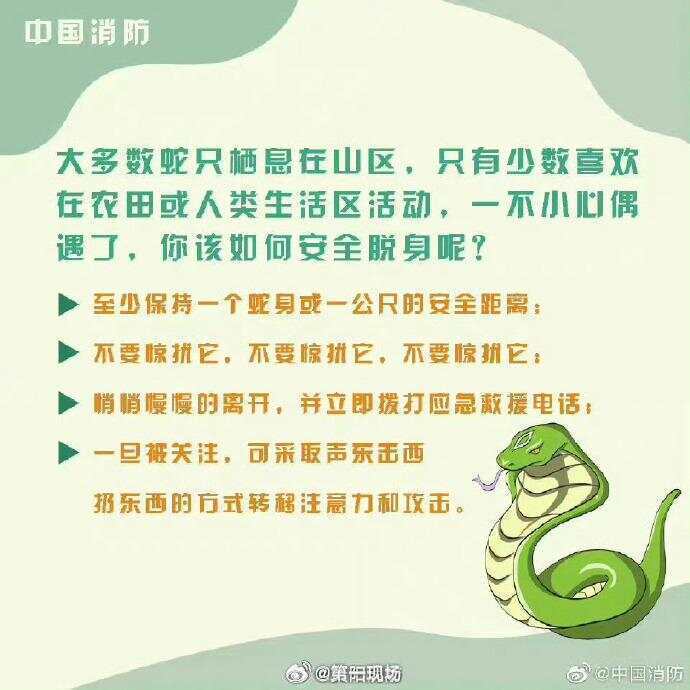 广东上演现实版贪吃蛇！汕尾惊现20斤大蟒蛇生吞牛犊；不幸遇到蛇怎么办，快来看看这份手册