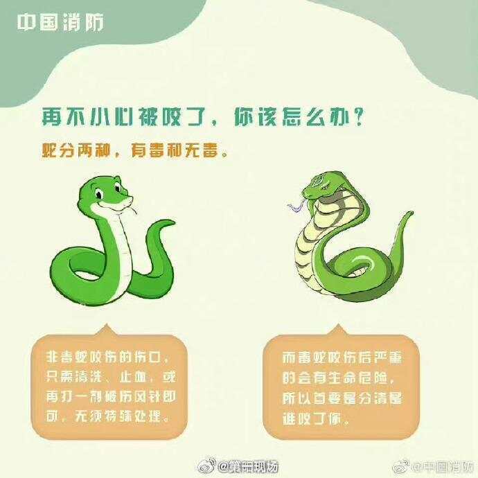 广东上演现实版贪吃蛇！汕尾惊现20斤大蟒蛇生吞牛犊；不幸遇到蛇怎么办，快来看看这份手册