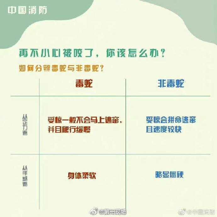 广东上演现实版贪吃蛇！汕尾惊现20斤大蟒蛇生吞牛犊；不幸遇到蛇怎么办，快来看看这份手册