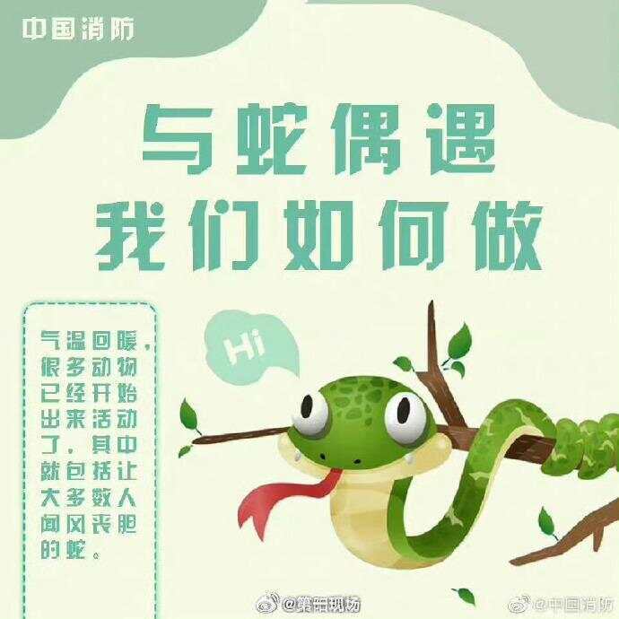 广东上演现实版贪吃蛇！汕尾惊现20斤大蟒蛇生吞牛犊；不幸遇到蛇怎么办，快来看看这份手册