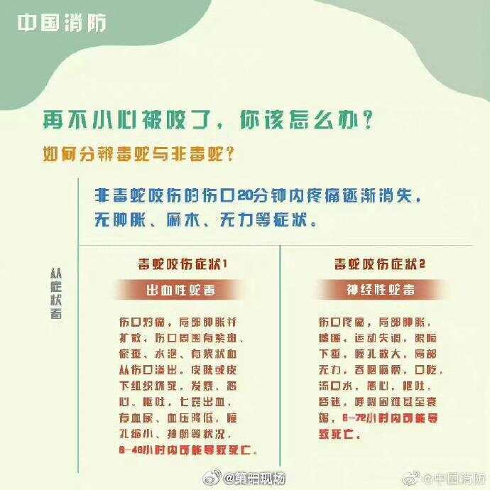 广东上演现实版贪吃蛇！汕尾惊现20斤大蟒蛇生吞牛犊；不幸遇到蛇怎么办，快来看看这份手册