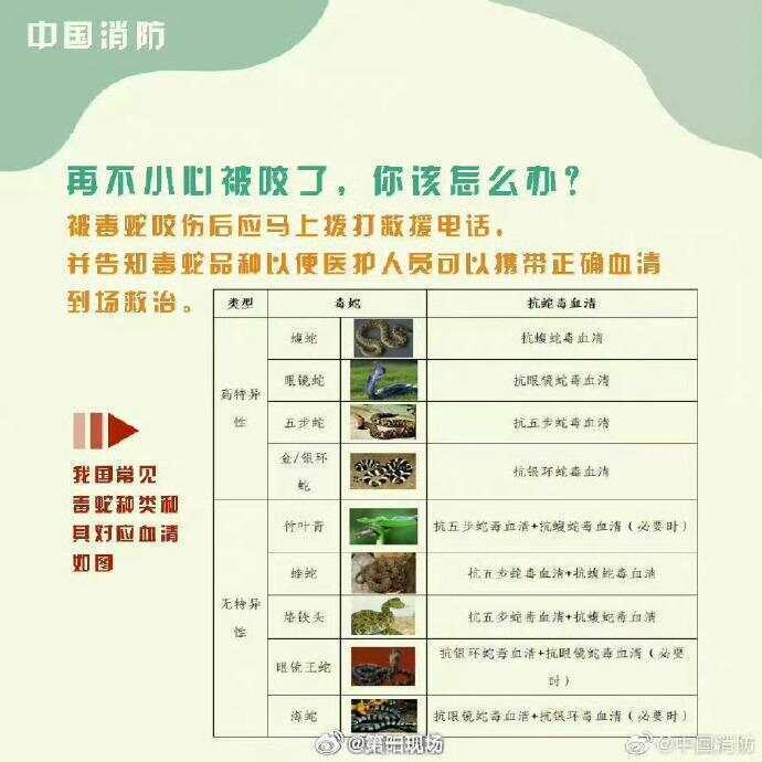 广东上演现实版贪吃蛇！汕尾惊现20斤大蟒蛇生吞牛犊；不幸遇到蛇怎么办，快来看看这份手册