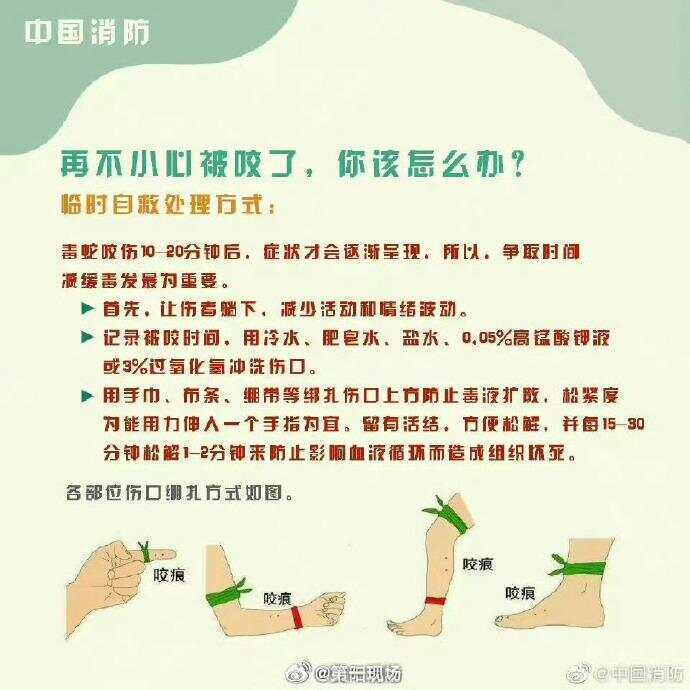 广东上演现实版贪吃蛇！汕尾惊现20斤大蟒蛇生吞牛犊；不幸遇到蛇怎么办，快来看看这份手册