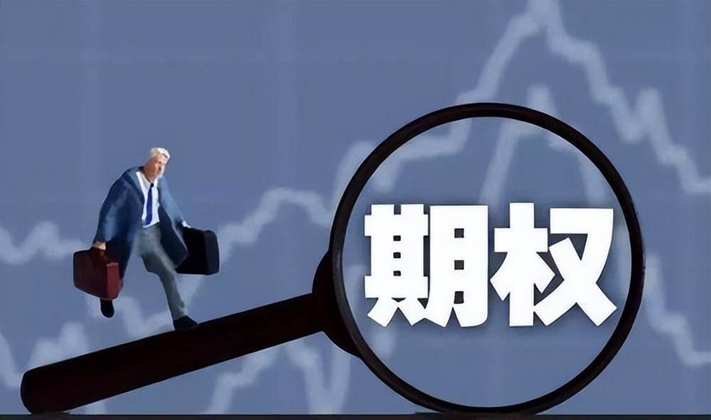 国内期权交易规则有哪些？