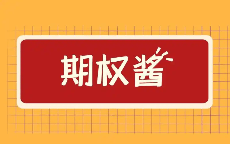 股票有场内期权吗