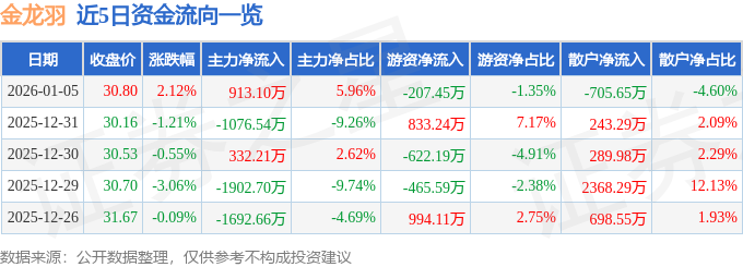 股票行情快报：金龙羽（002882）1月5日主力资金净买入913.10万元