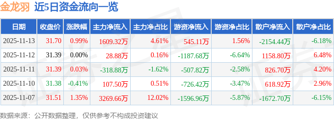 股票行情快报：金龙羽（002882）11月13日主力资金净买入1609.32万元