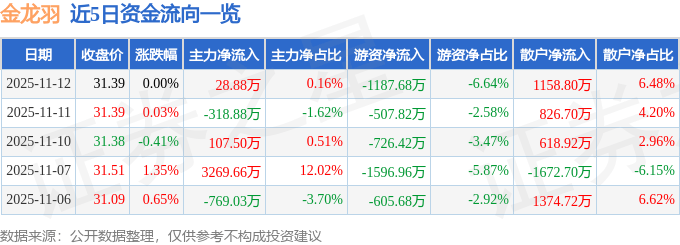 股票行情快报：金龙羽（002882）11月12日主力资金净买入28.88万元