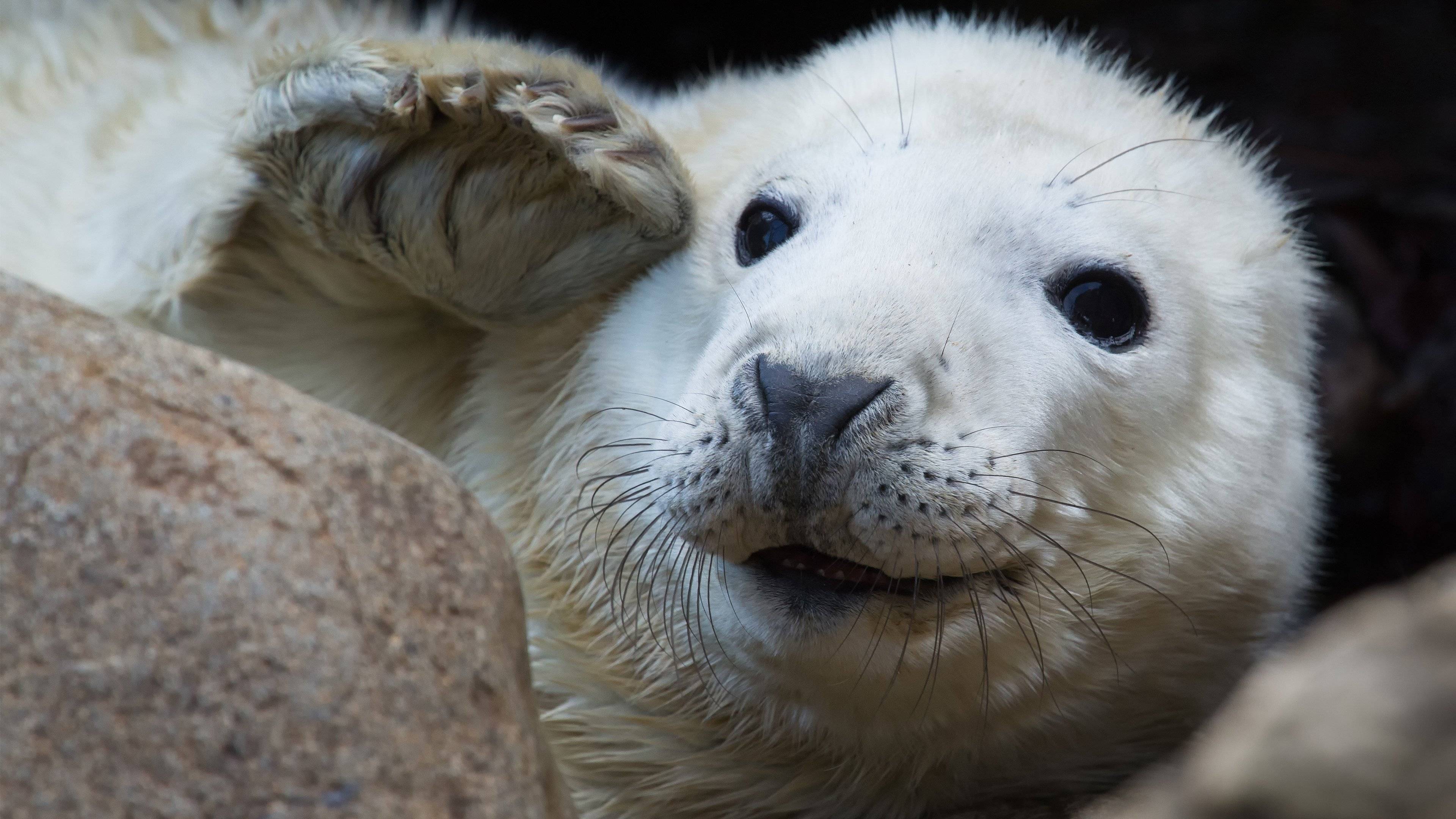 计算机二级成绩查询,计算机二级成绩查询入口官网