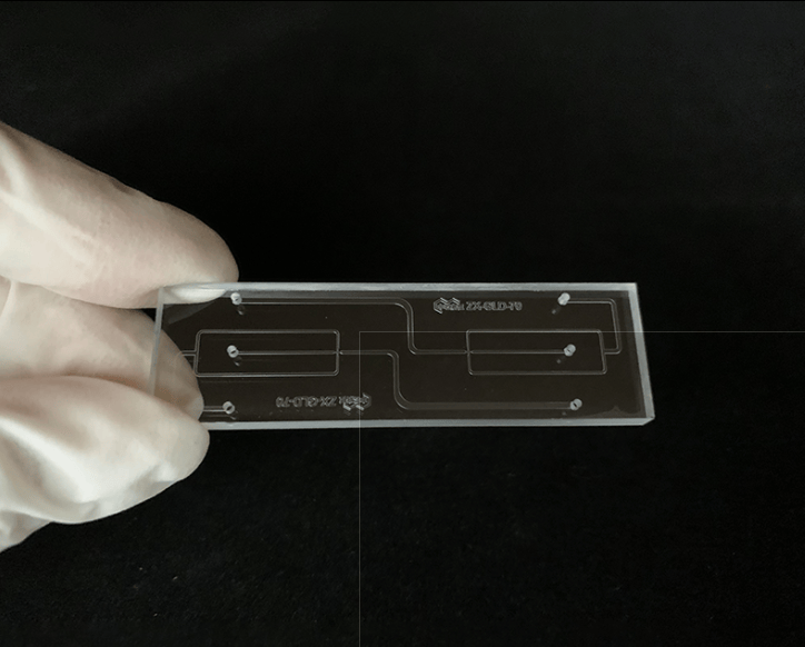 国家自然科学基金正式设立“类器官与人工器官”二级代码(C1004)