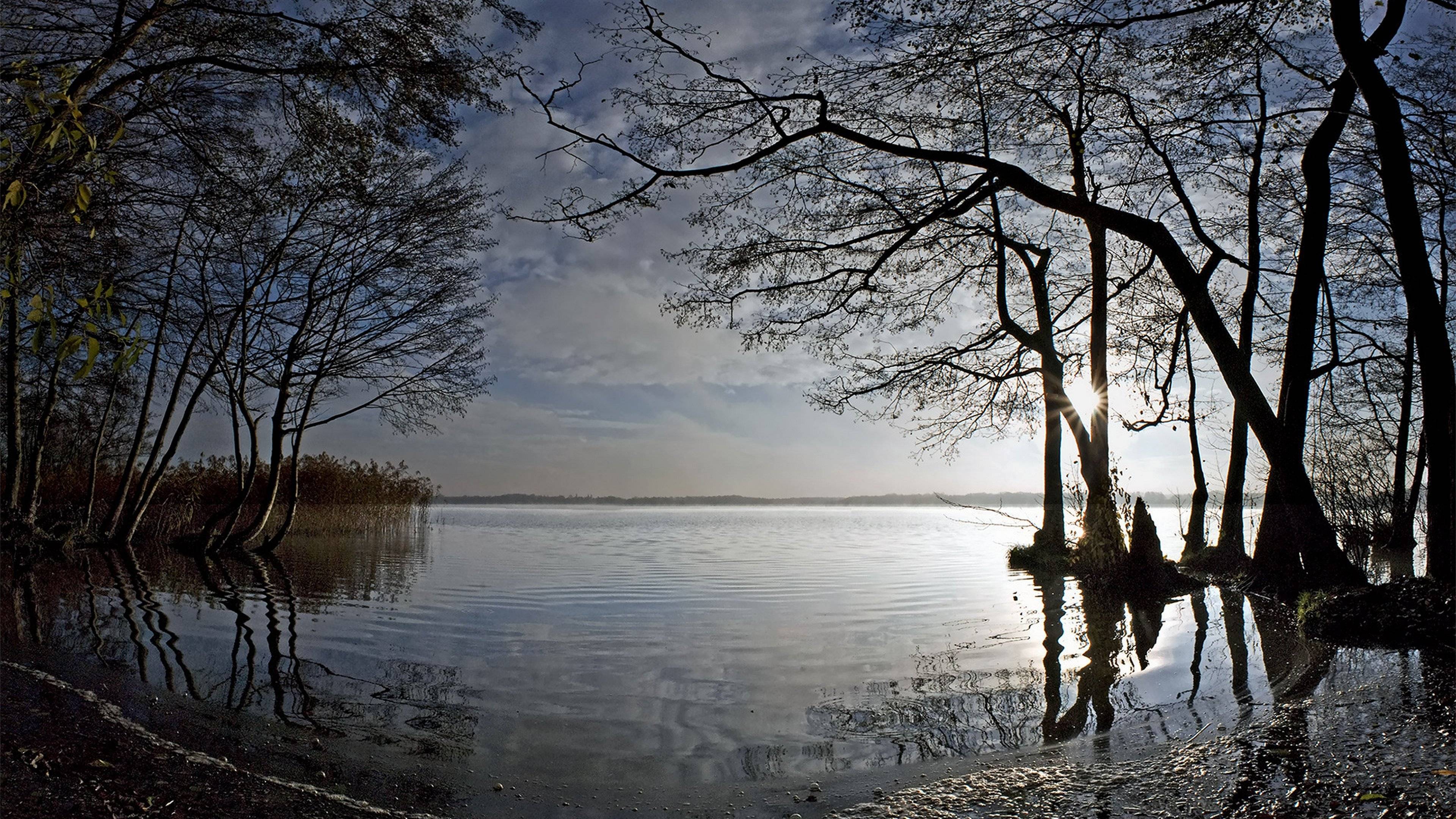 百分考试服务平台成绩查询,百分考试成绩查询入口官网