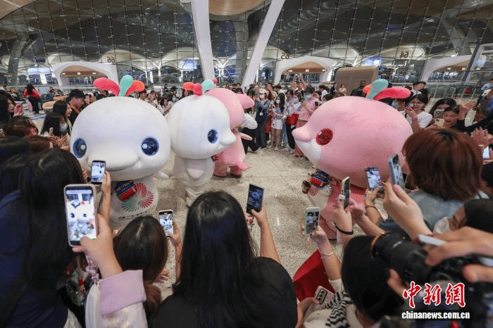 老板劝退“别来吃”的顺德鸡煲店，逼着广东文旅去斩鸡