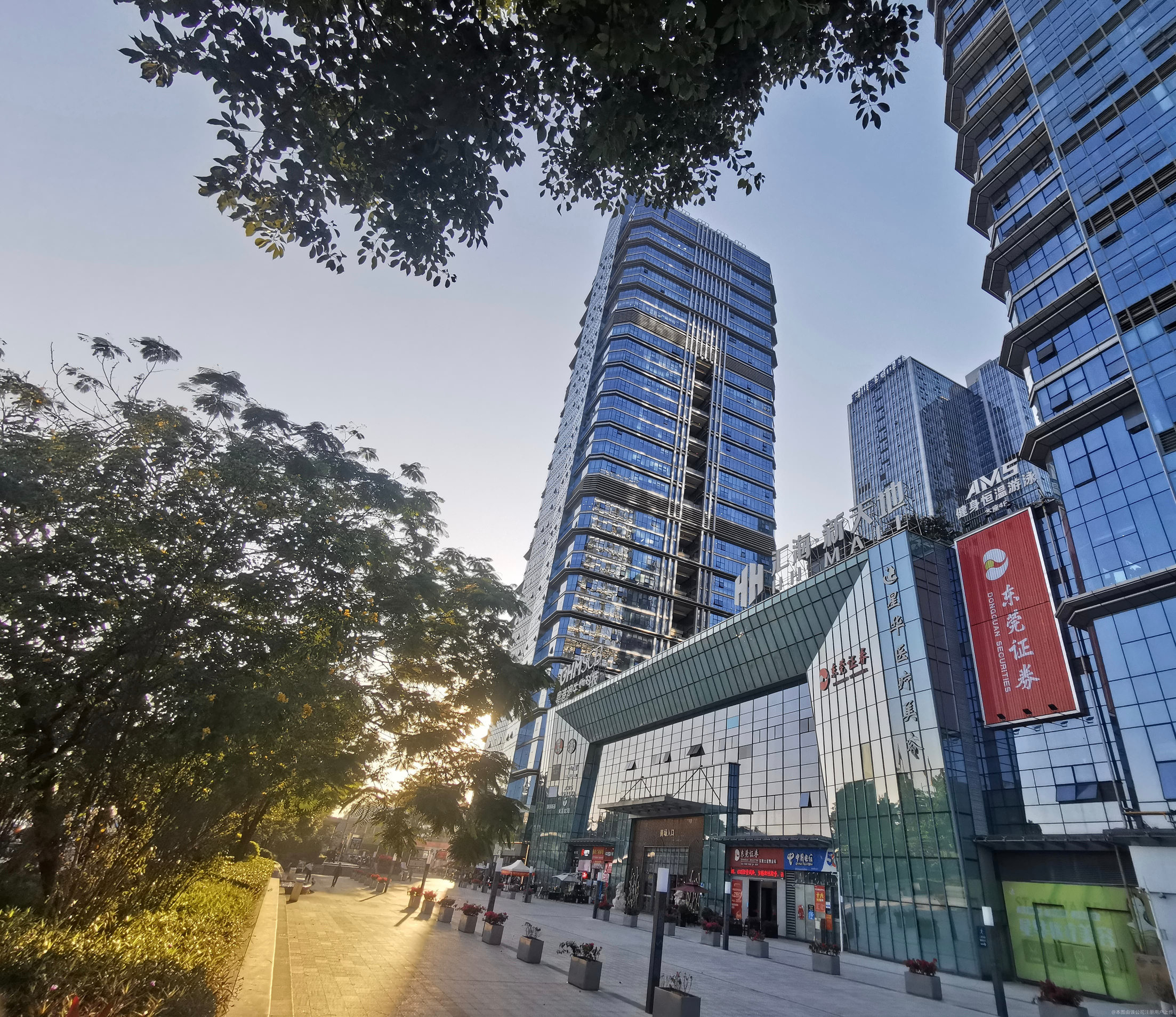 东莞光大证券(东莞光大证券电话客服电话)